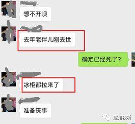 定州最新事件爆料信息网,揭秘背后真相，追踪热点动态