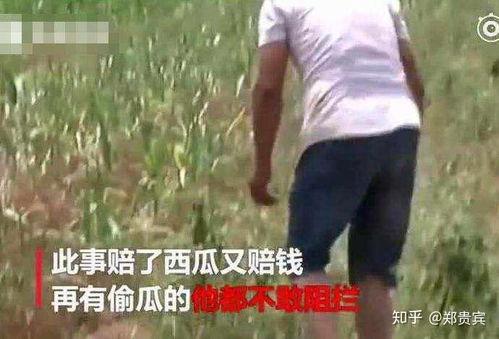 遂宁吃瓜最新事件爆料视频,最新爆料视频揭露惊人真相 第3张 遂宁吃瓜最新事件爆料视频,最新爆料视频揭露惊人真相 第3张