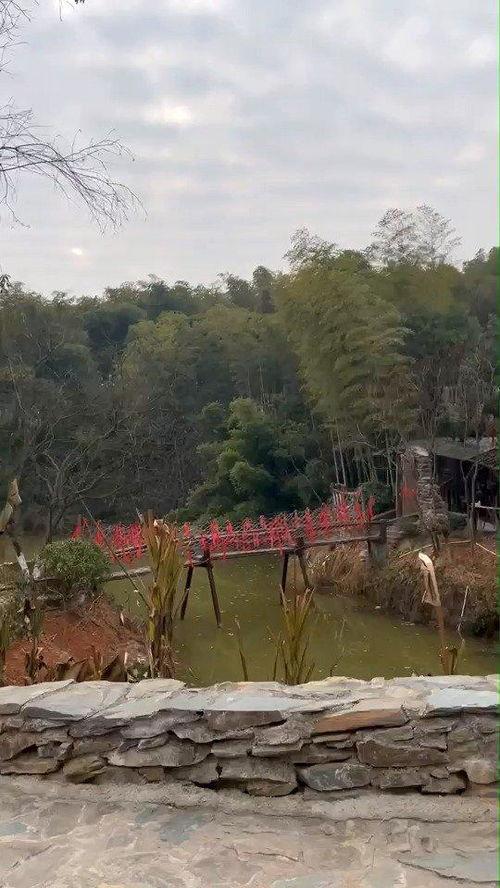 花溪新闻爆料最新消息网,最新动态速览，热点事件追踪  第2张