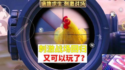 和平科技最新爆料视频,揭秘未来科技前沿动态  第2张